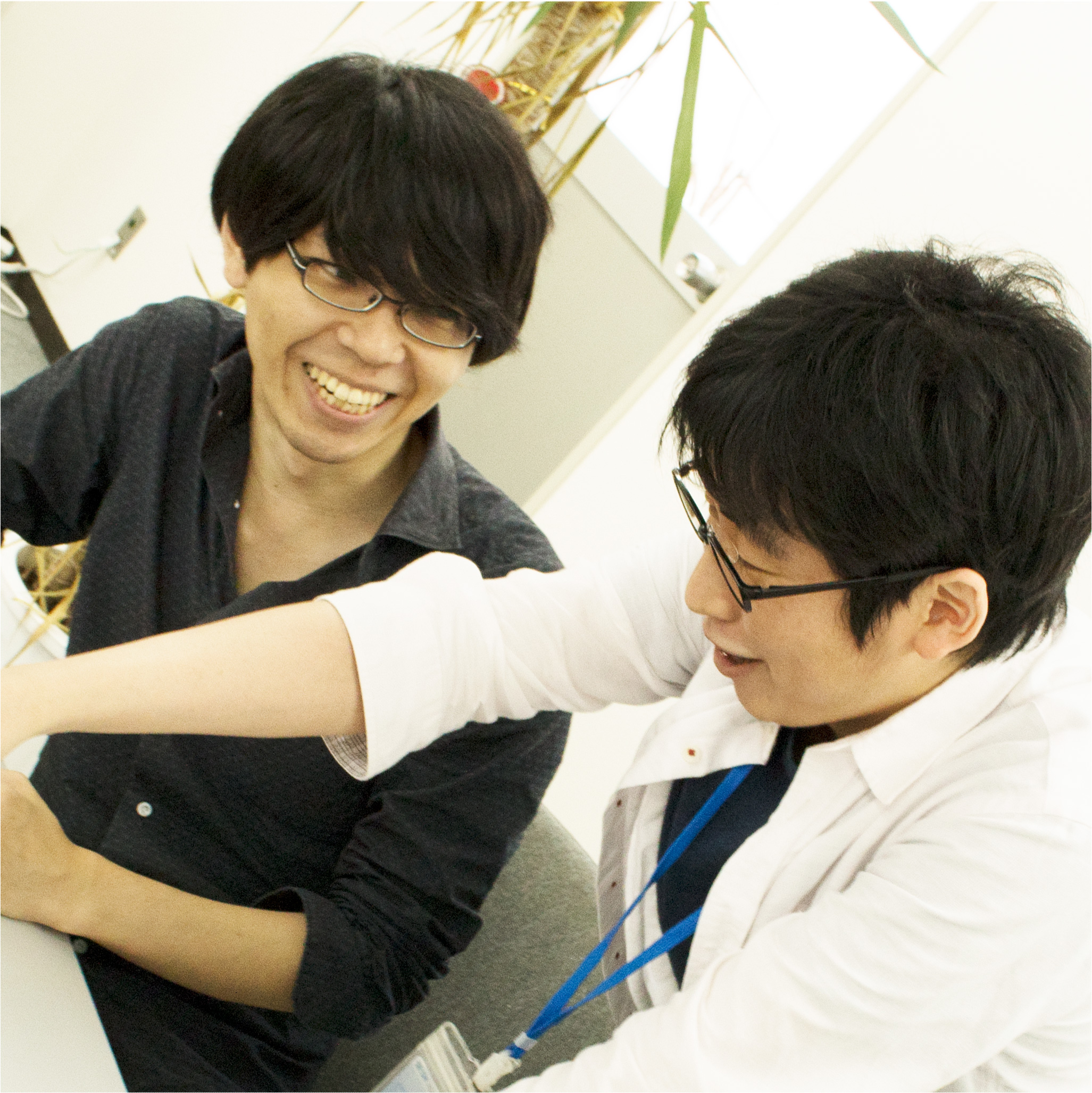 サンプル
